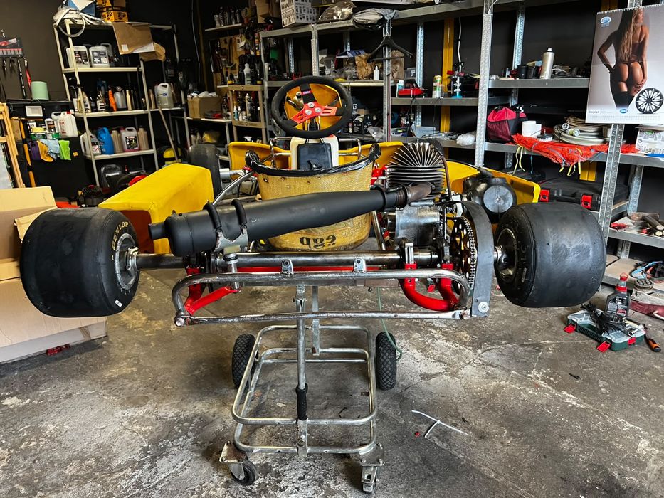 Gokart Dino kart wyczynowy IAME 100ccm
