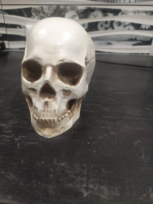 Декоративний череп