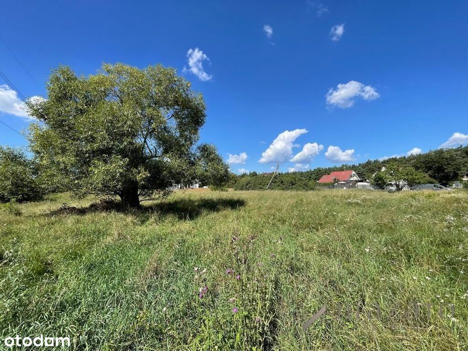 Działka Budowlana 1427 M² – Przyłęki / Brzoza