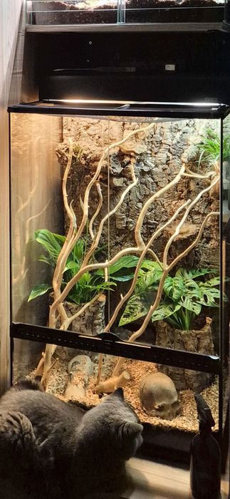 Terarium 60×45×90