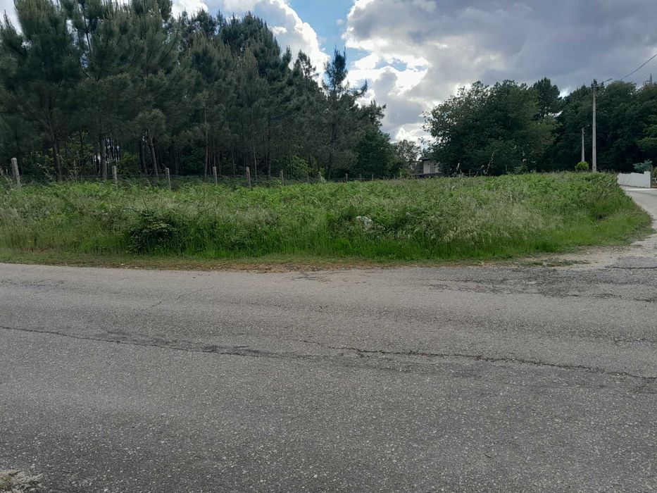 Terreno Construtivo em Zona de excelência