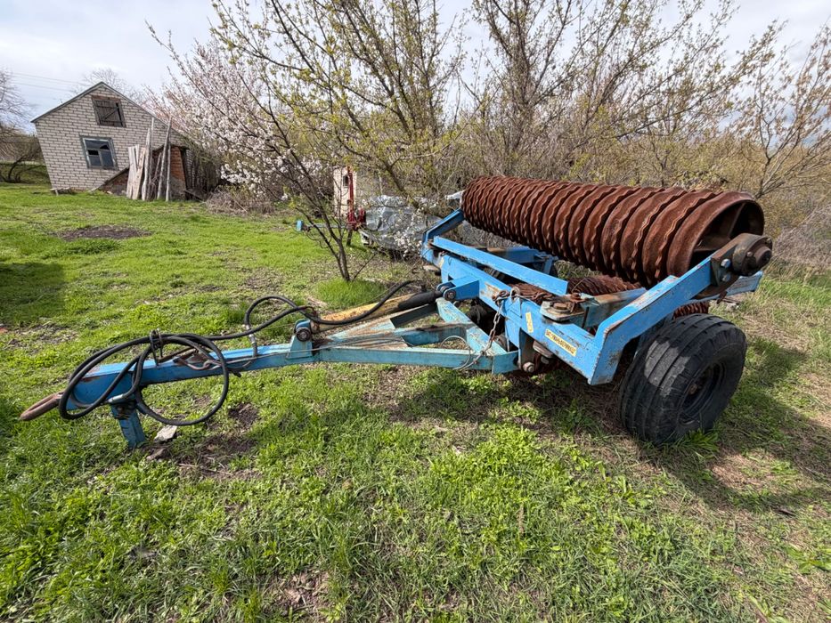 Коток зубчато кільчатий