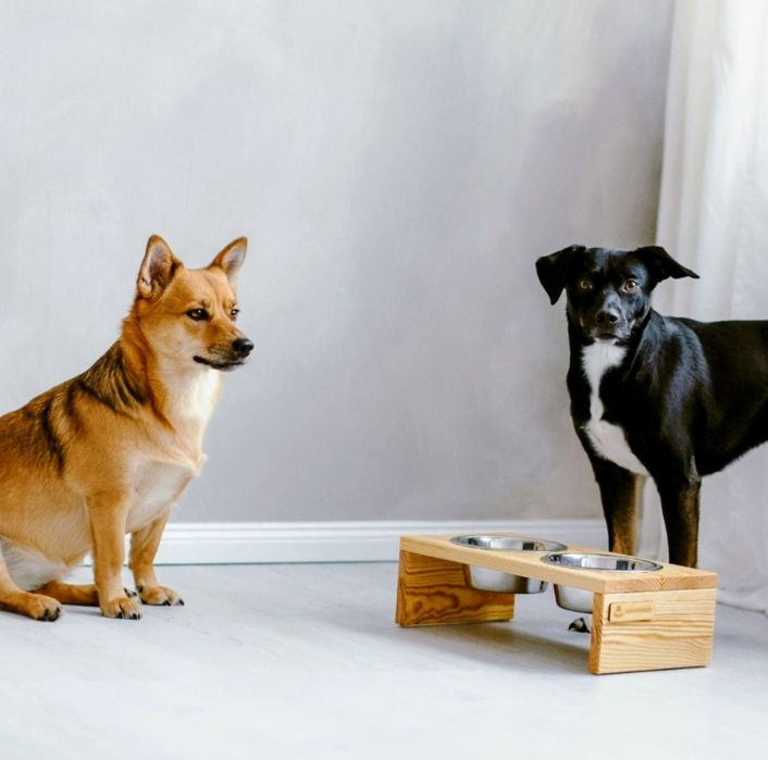 Stojak na miaski dla psa 2x0,45 L