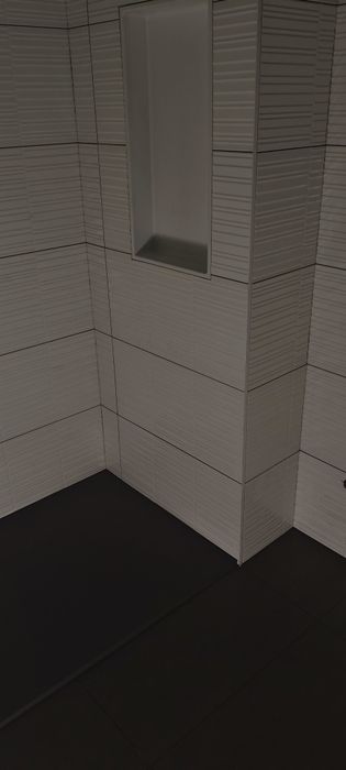 Ladrilhador profissional