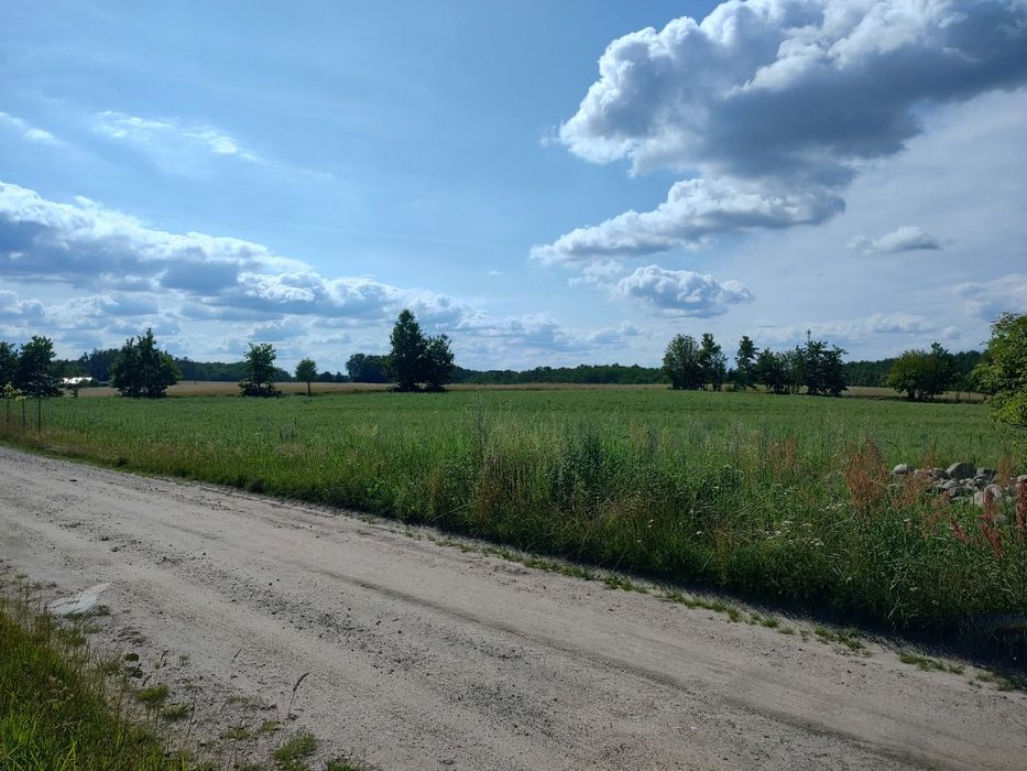 Ziemia, pole, sprzedam 2,5h