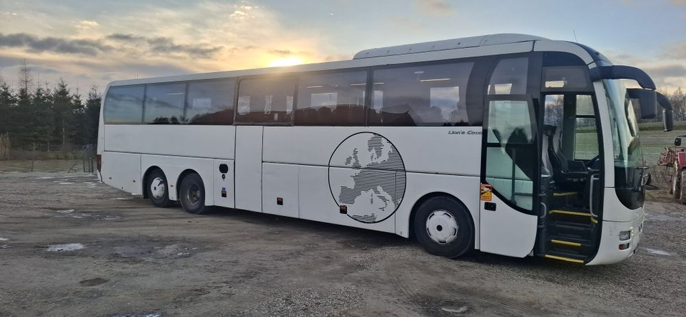 Man lioncoasch 2009r