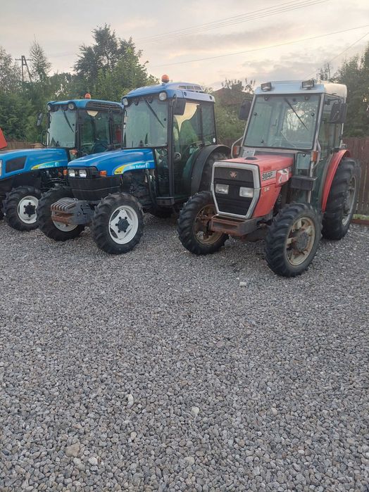 ciągnik sadowniczy massey ferguson MF 364