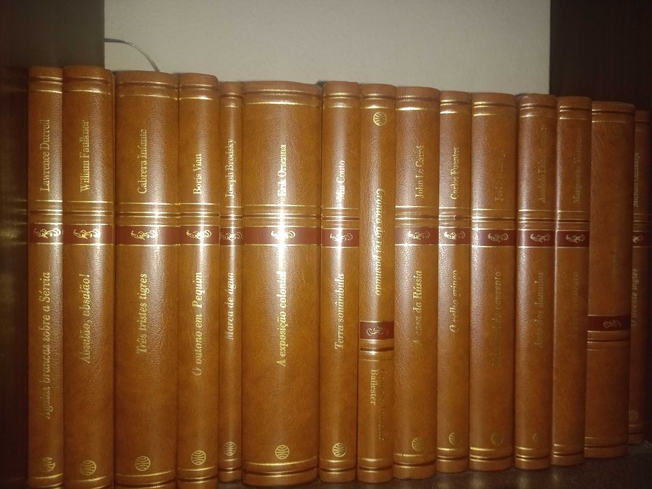 Conjuntos de 45 livros da melhor literatura nacional e internacional