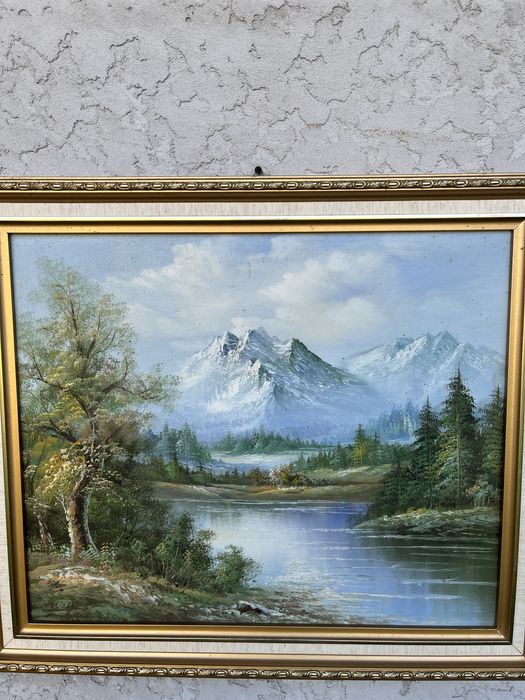 Quadro medio de uma paisagem na montanha