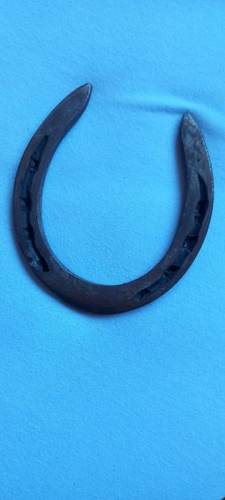 Podkowa zdrowie i uroda