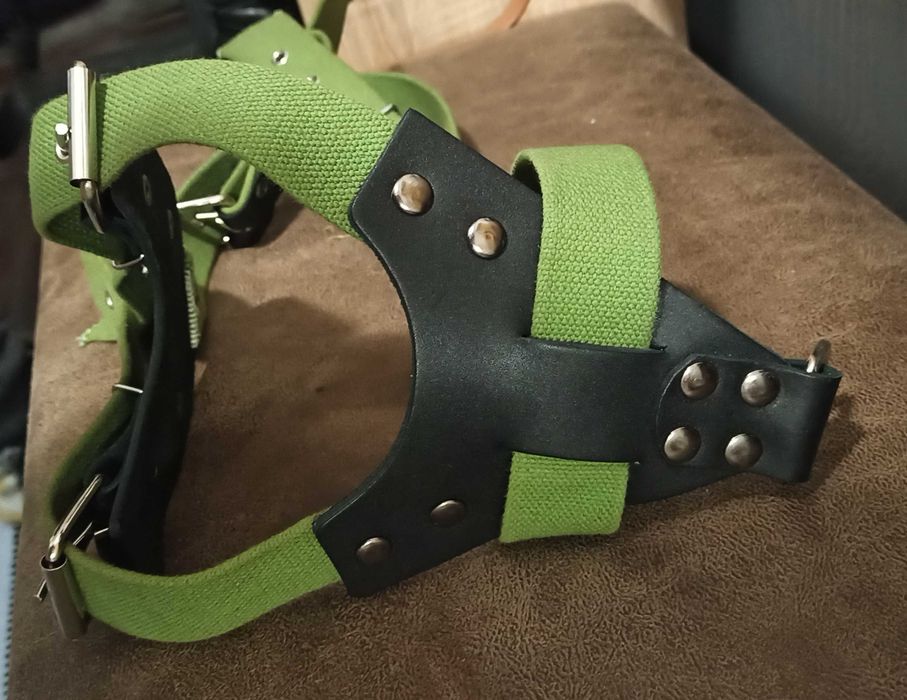 Шлейка для собаки Canem брезентова