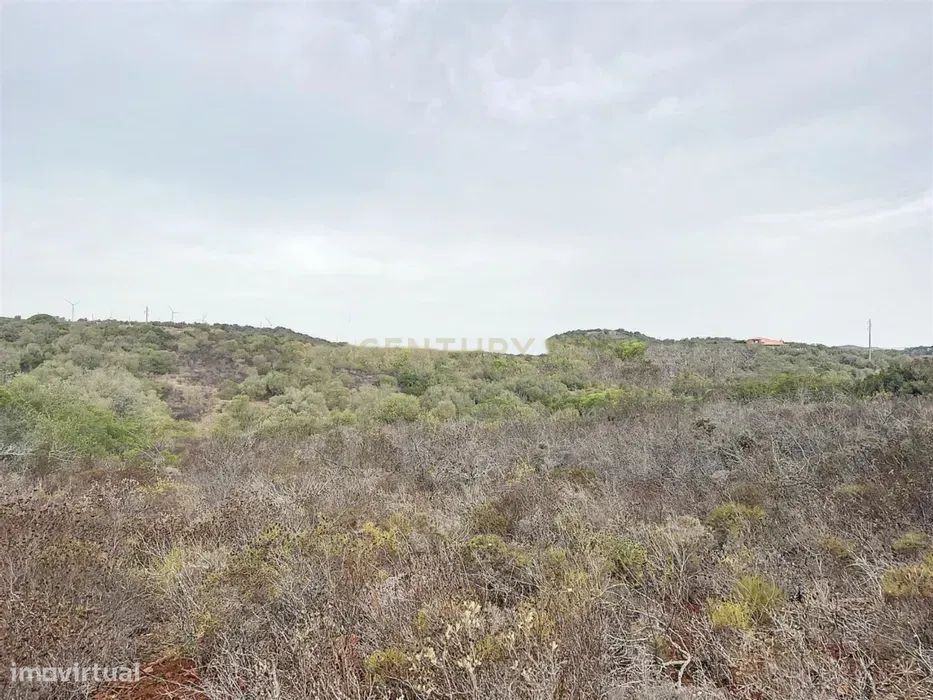 Não Perca Esta Grande Oportunidade! Terreno Rústico Com 1.5 Ha Com Ace