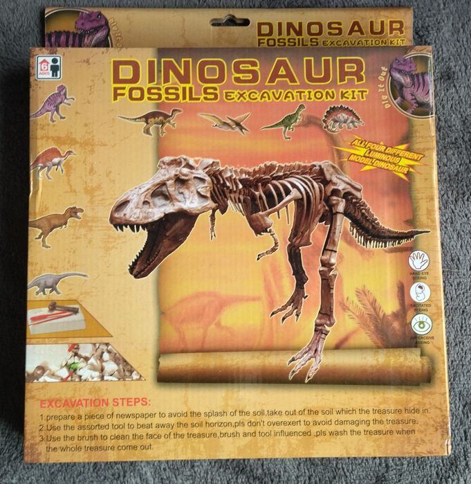 Wykopaliska dinozaurów.