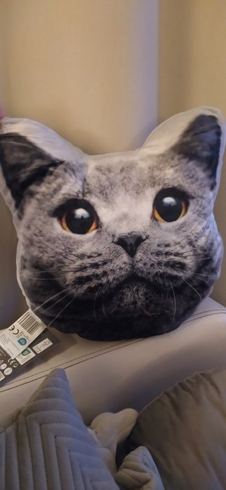 Miękka poduszka 35 x 35 cm kot szara kot brytyjski