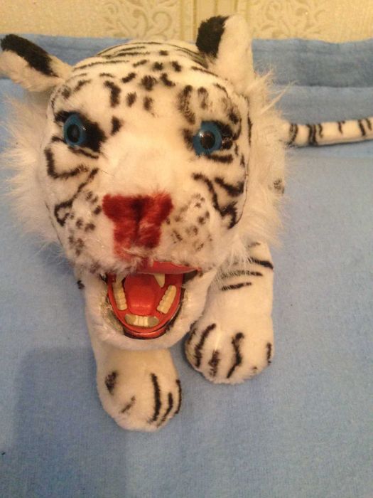 Тигр Альбинос наст. оскал USA фирм