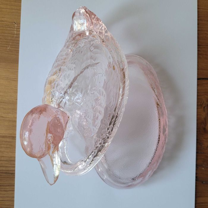 Kaczka Ząbkowice Śląskie