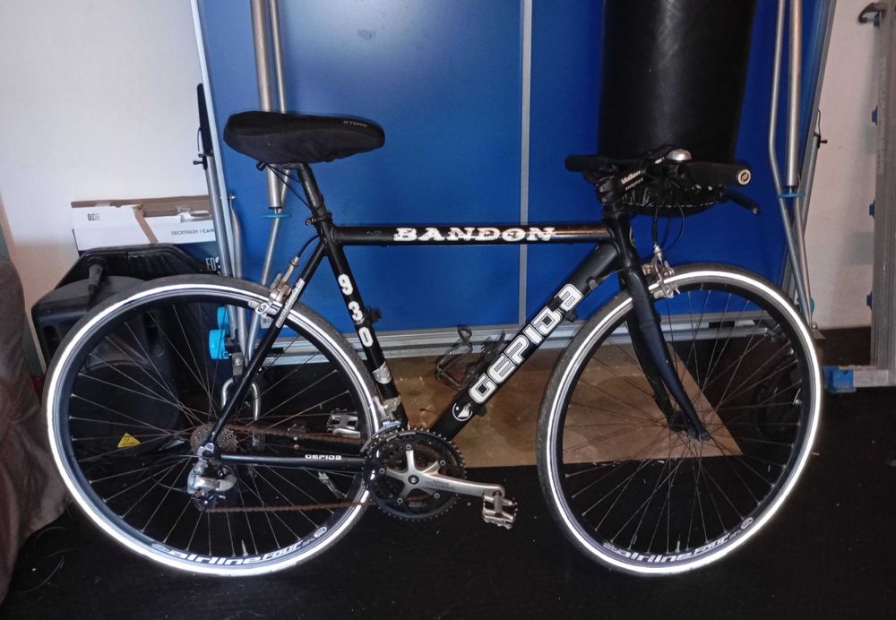 Bicicletas Gepida 930