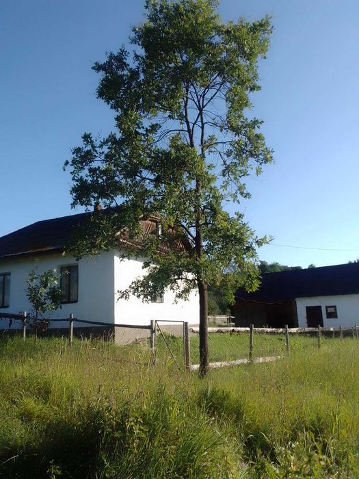 Продаж приватного будинку с. Красна