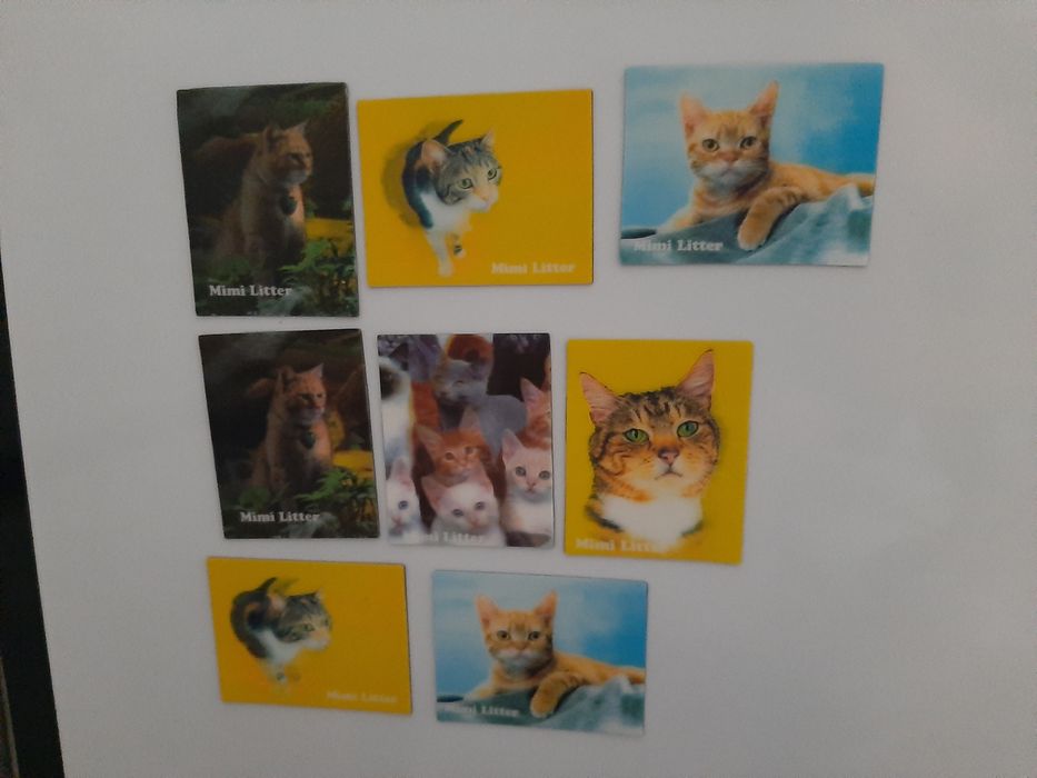 Imans cidades animais abre garrafas Zagreb las vegas praga punta cana
