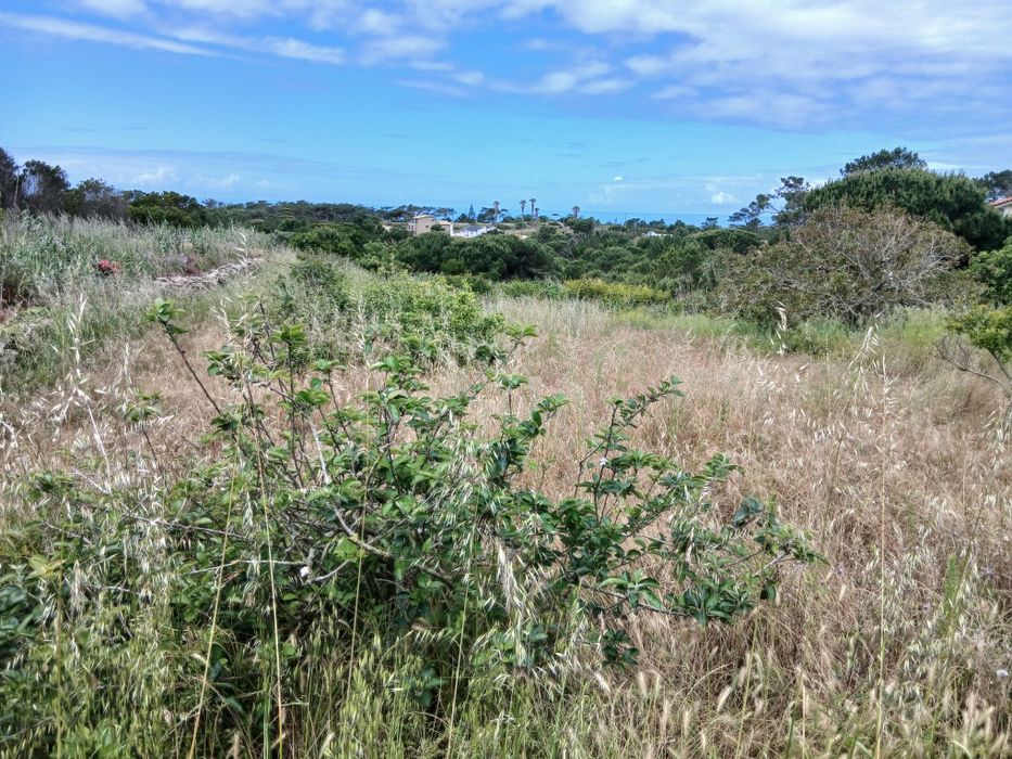 Terreno com vista mar no Magoito!