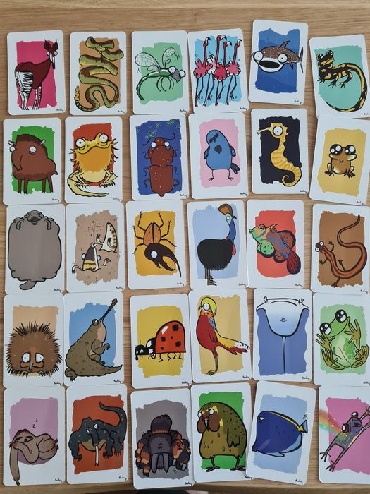 Baralho cartas YORN Shake it Wildlife