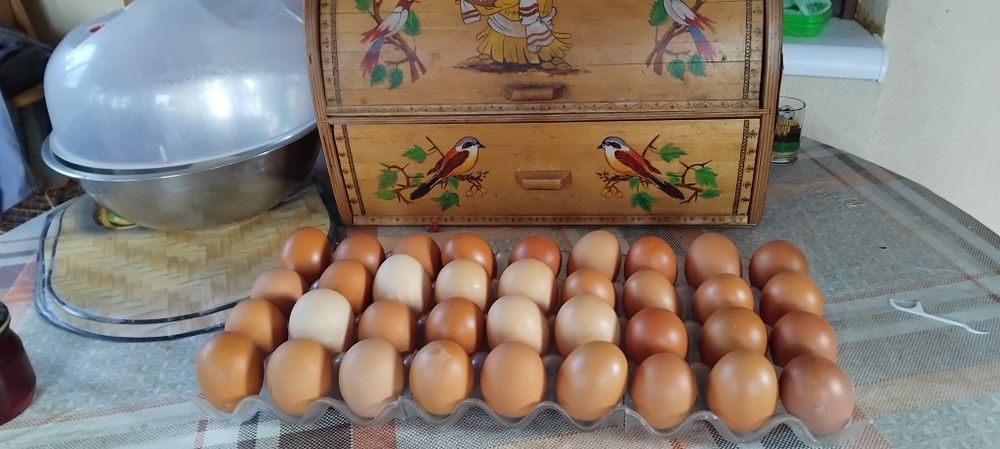 Продажа домашніх яєць.