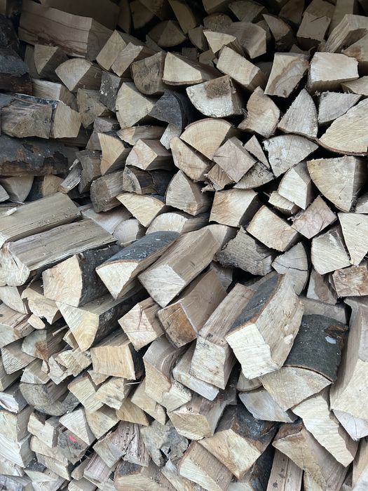 Drewno opałowe sosna , brzoza, buk i dąb