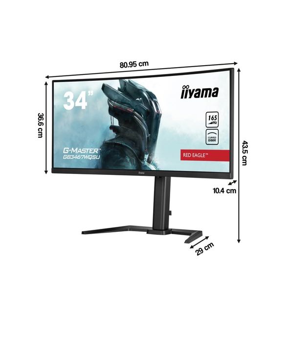 Monitor iiyama G-MASTER