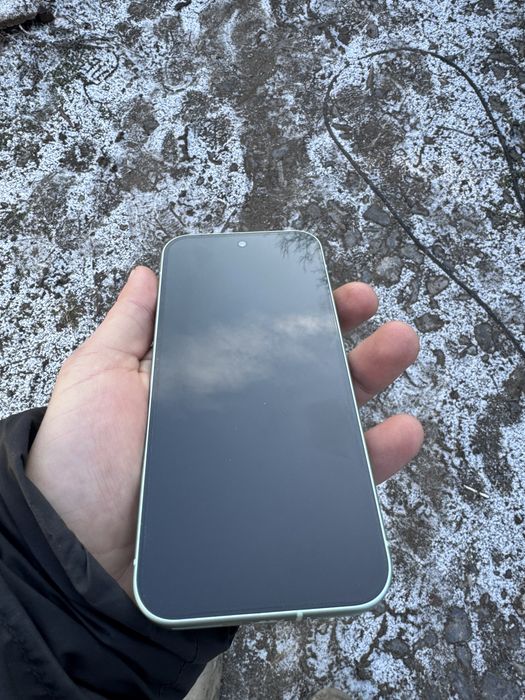 Pixel 9 12/128 wintergreen