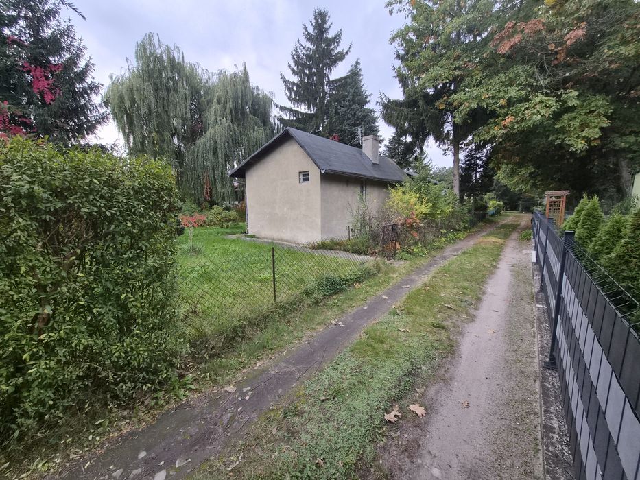 Działka z domkiem Stowarzyszenie Ogrodowe Wierzbinka - Widok 3