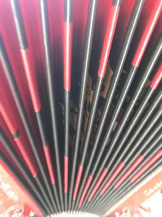 Vendo concertina semi nova da Famosa marca Dinobafetti