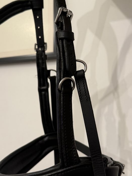 Kawecan skôrzany cob