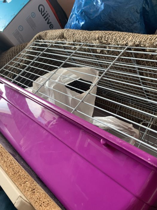 Gaiola roxa para animais