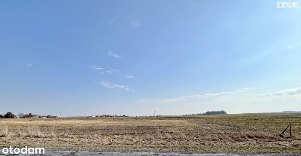 Jabłonna - Wierciszów - działka budowlana - 9 a
