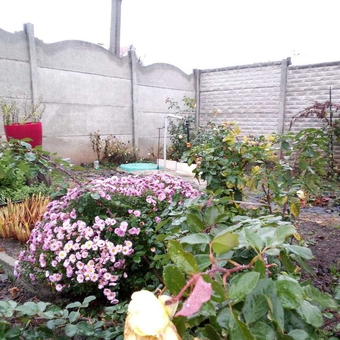 Продам 1\2 дома Залютино ул. Житная