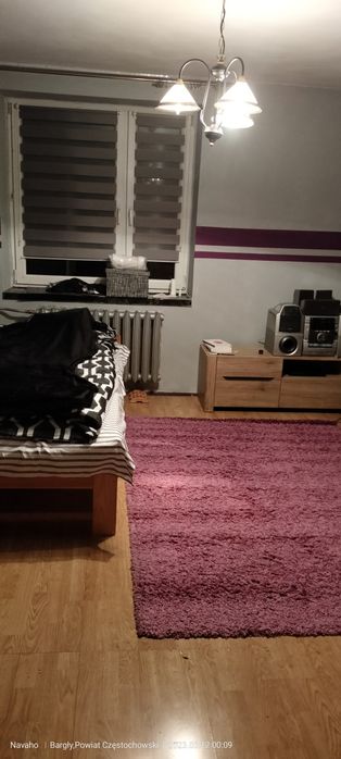 Hotel dla kotków
