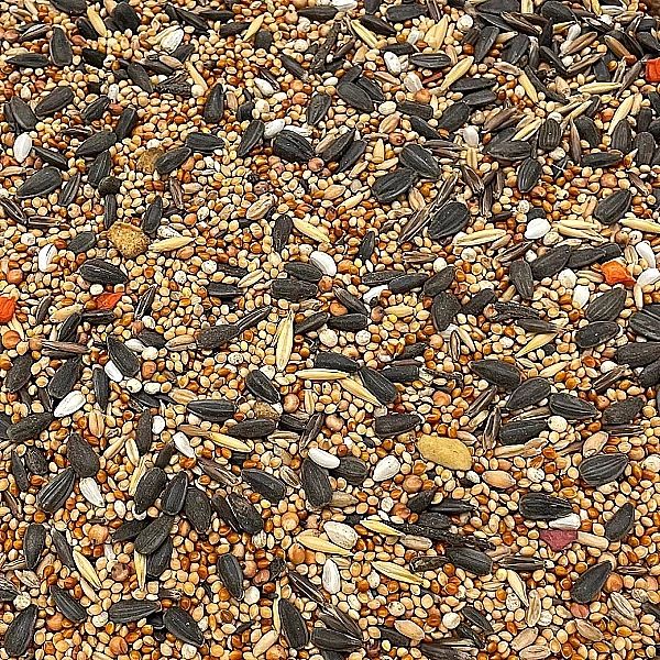 5kg Champi karma PREMIUM pokarm dla papug średnich Nimfy rozelli