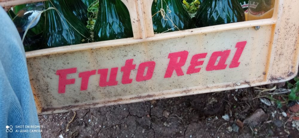 Garrafas fruto real