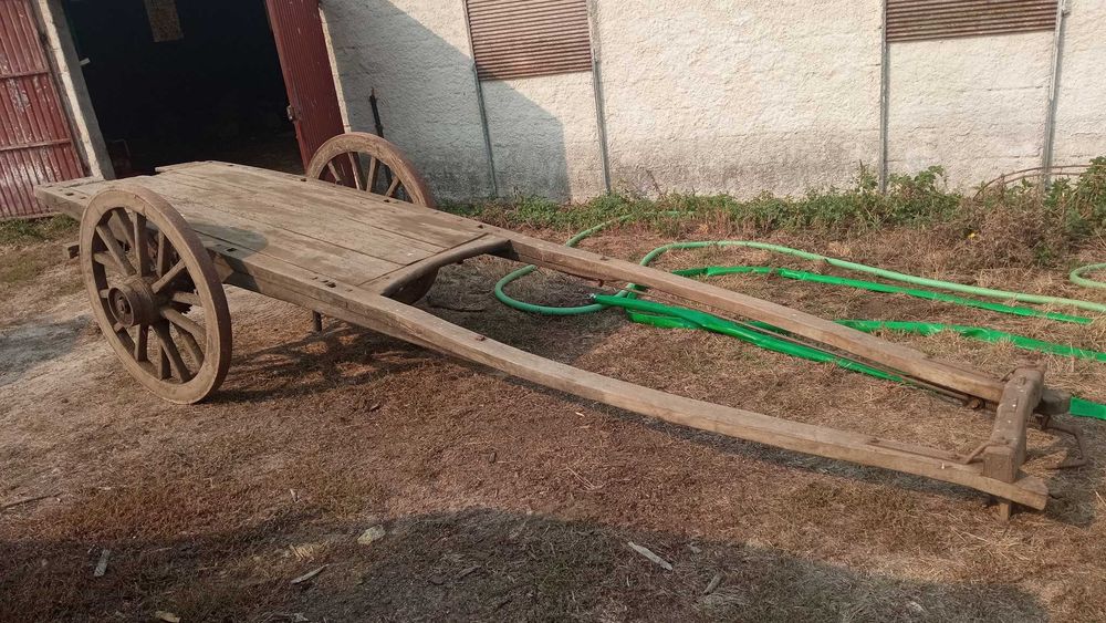 Carroça de bois com travão