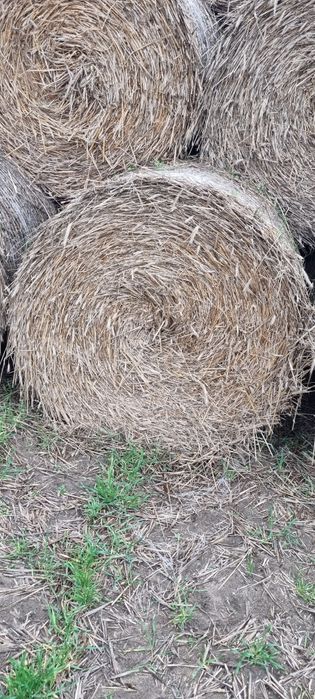 Słoma bele 120cm transport