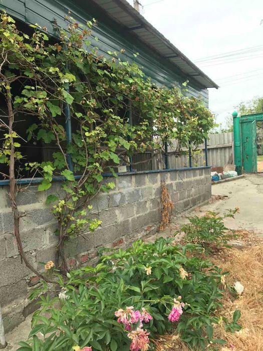 Продам дом Чугуев