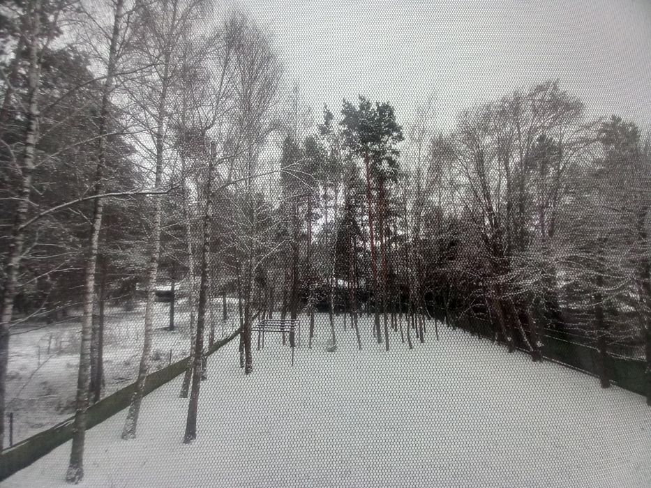 noclegi leśny domek