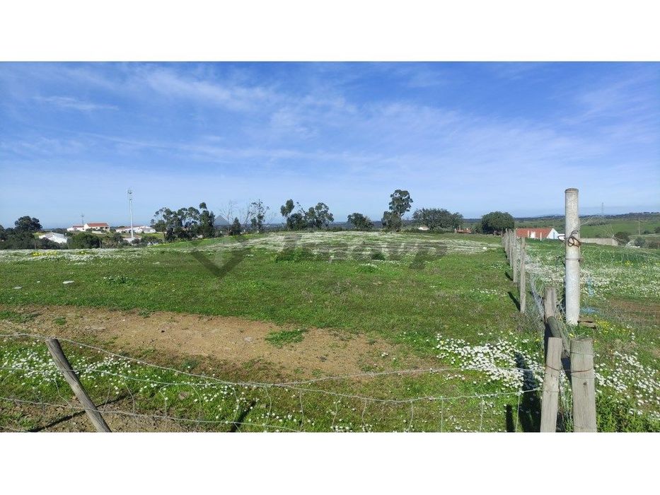 Terreno rústico de 0,775Ha localizado na Dogueno - Almodôvar