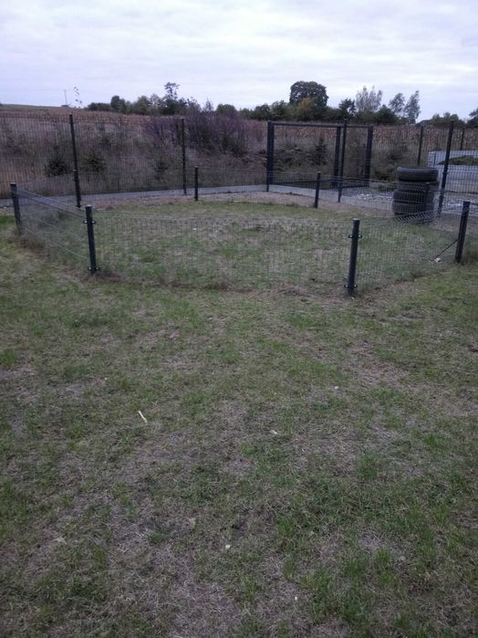 kojec zewnętrzny dla szczeniaków 25m2
