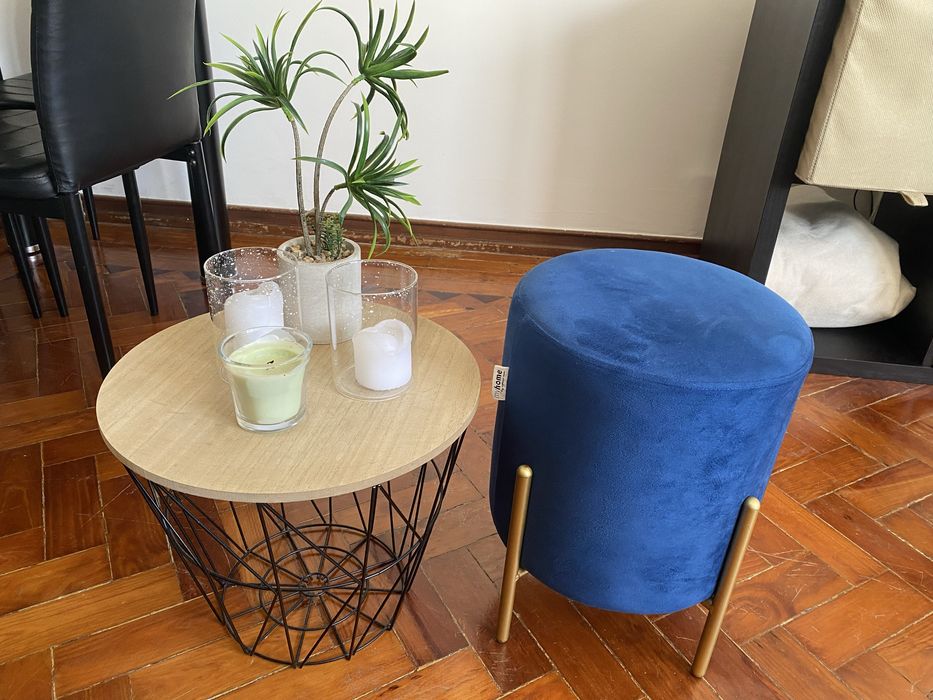 Dois Tamborestes e planta artificial