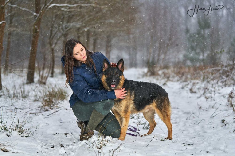 Smamotny Niuton traci nadzieję