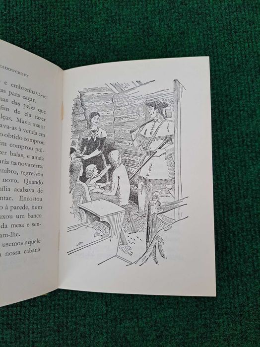 Novas aventuras de Daniel Boone - Enid LaMonte Meadowcroft