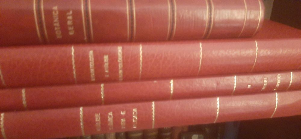 Farmacia antiga livros