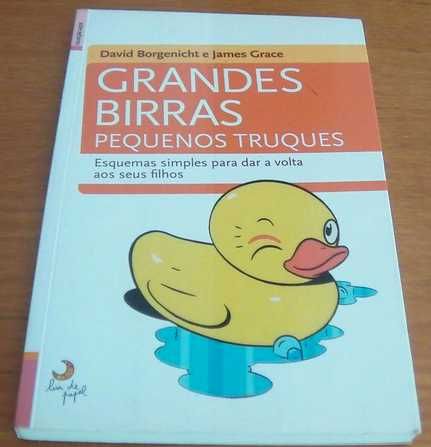 Grandes Birras Pequenos Truques Esquemas simples David Borgenicht