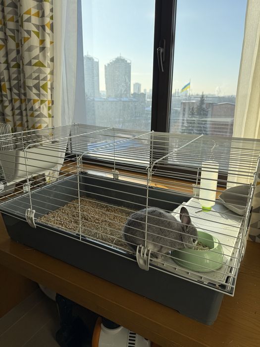 Продам міні кроля з кліткою